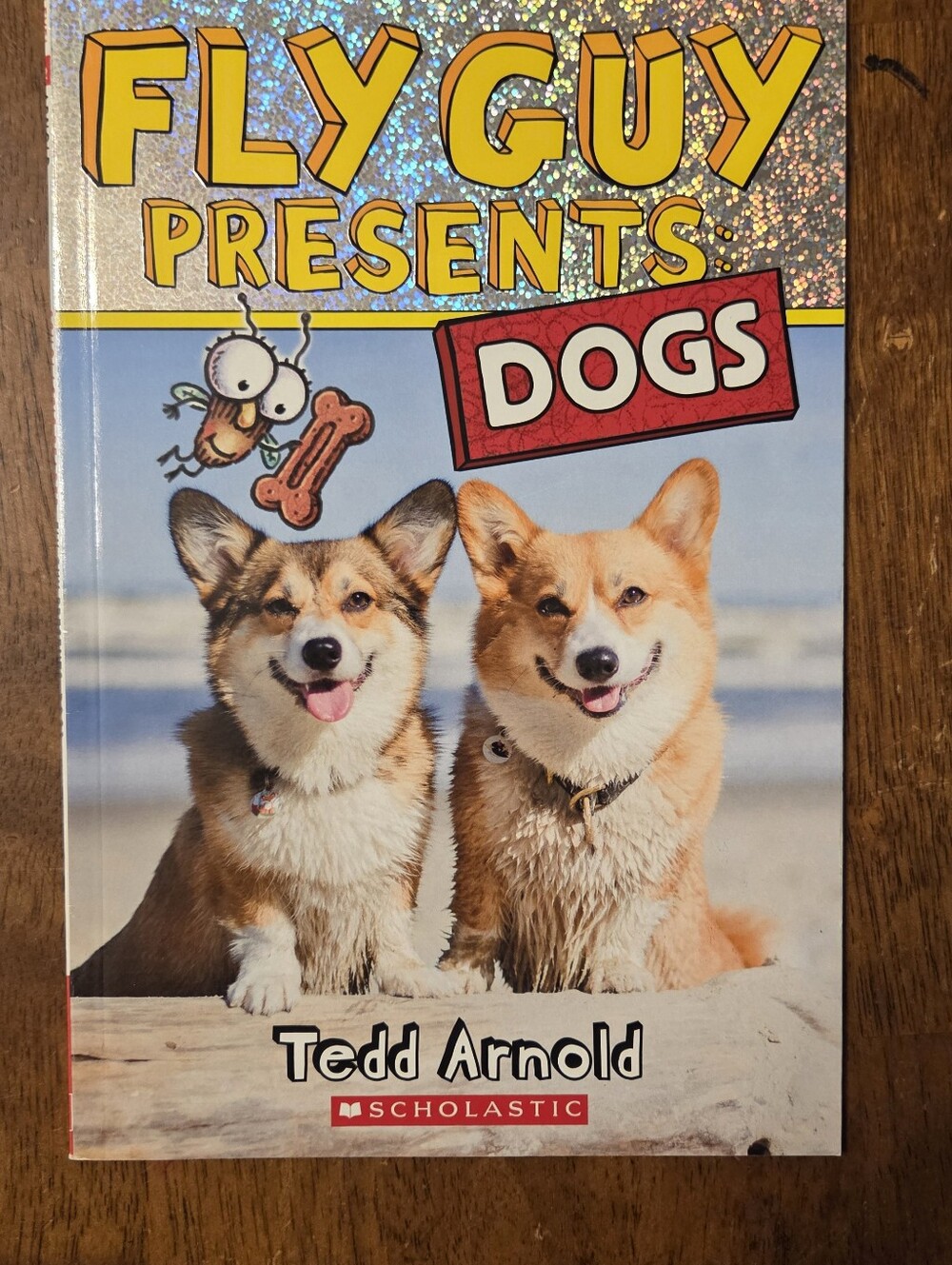 Fly Guy Presents: Dogs - Scholastic Nonfiction Children's Paperback Book by Tedd